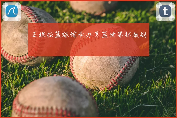 五棵松篮球馆承办男篮世界杯激战