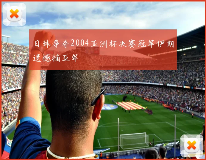 日韩争夺2004亚洲杯决赛冠军伊朗遗憾摘亚军