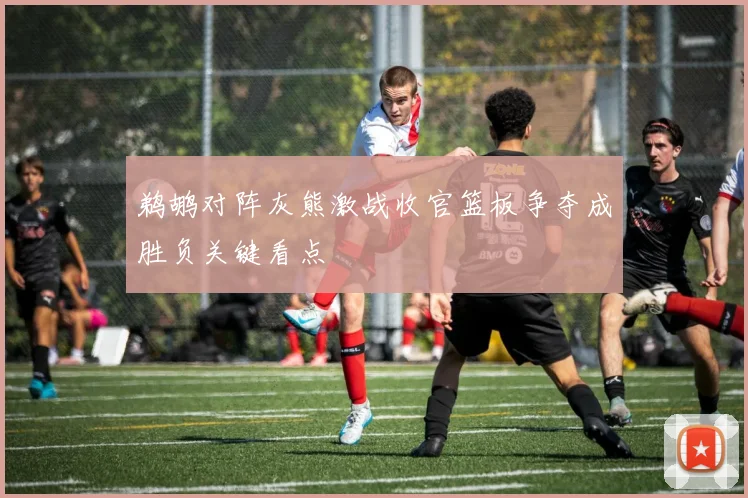 鹈鹕对阵灰熊激战收官篮板争夺成胜负关键看点