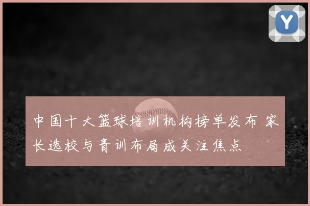 中国十大篮球培训机构榜单发布 家长选校与青训布局成关注焦点